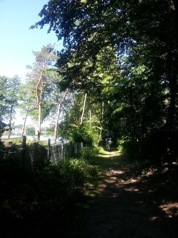 Holzhaus Waldwichtel Am Wald Und See نيوروبين المظهر الخارجي الصورة